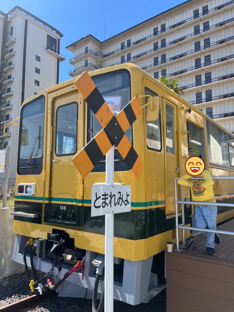RYUGUJO STATIONの電車