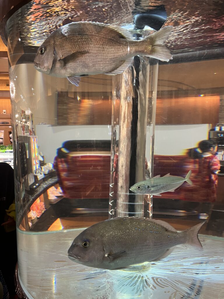 食事会場の生け簀に鯛