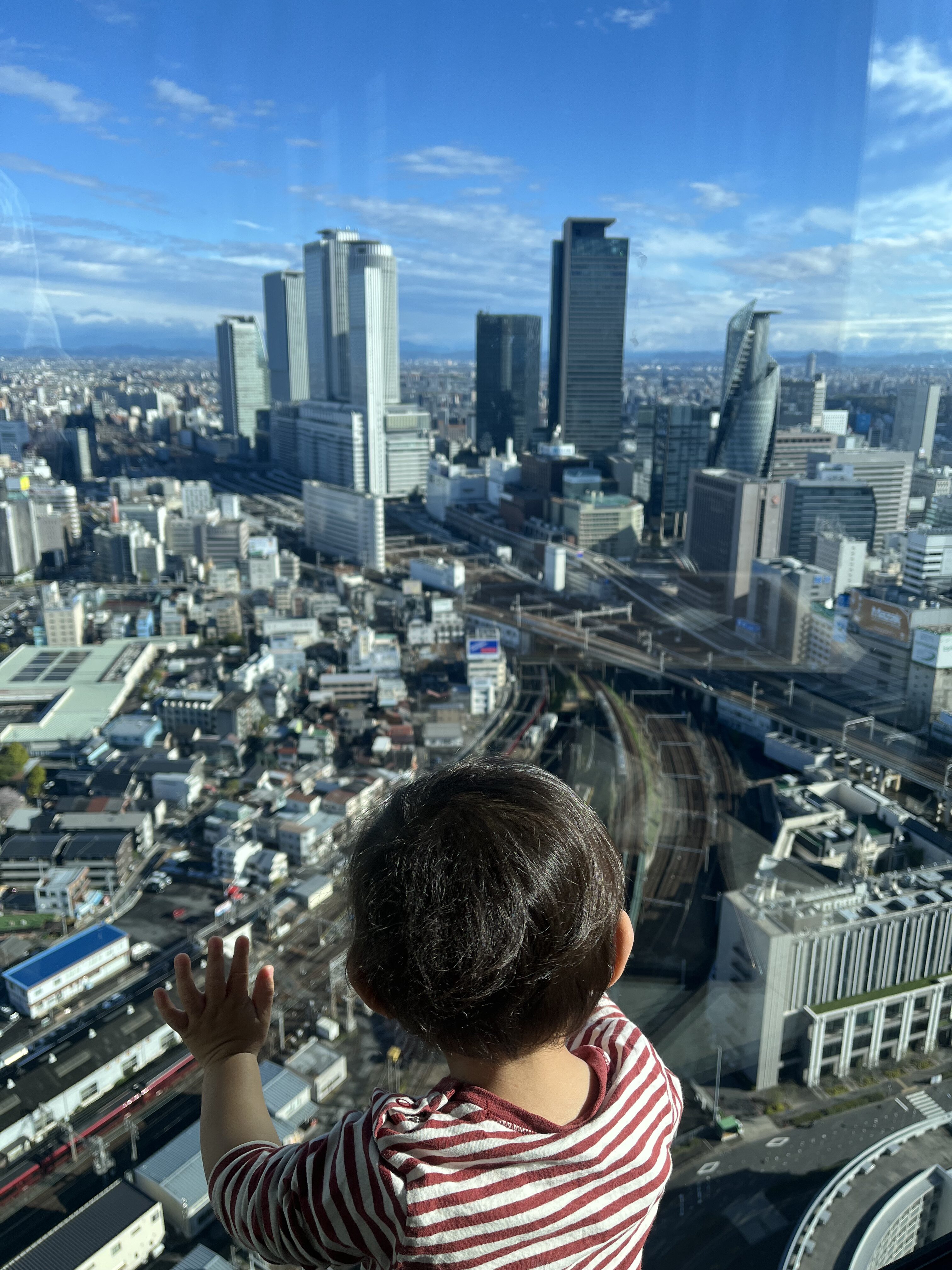 トレインビューに張り付く息子